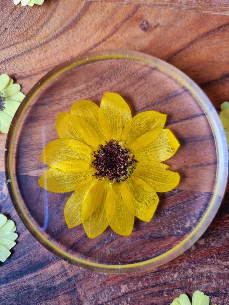 Sun flower coaster