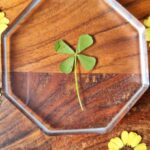 Four leaf clover coaster