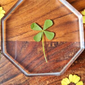 Four leaf clover coaster