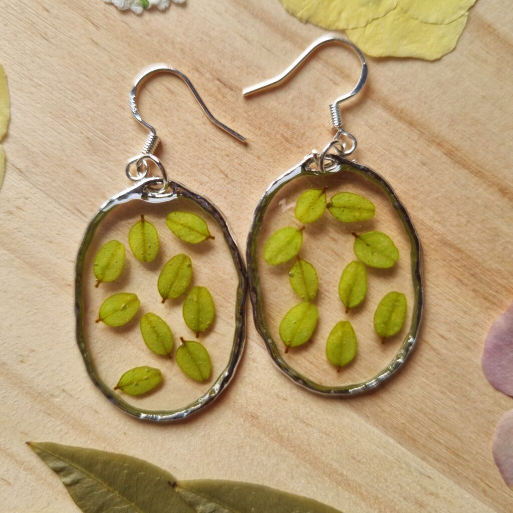 Kōwhai leaves#3